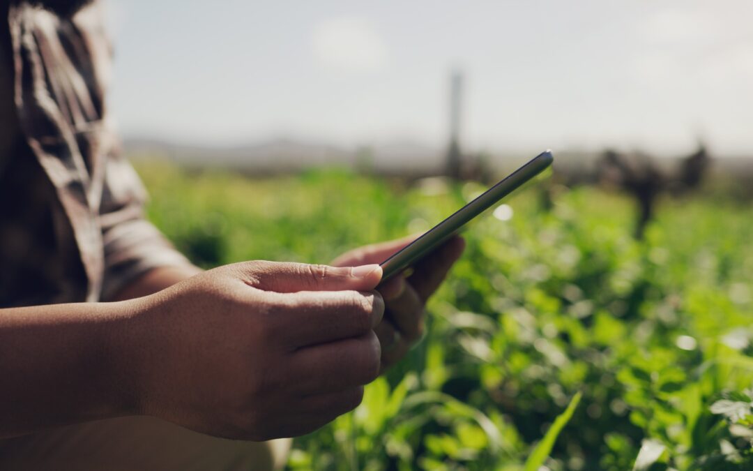 Por qué los datos en tiempo real están revolucionando la gestión integrada de plagas en la agricultura