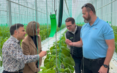 How Collaboration Can Boost Resilience in the Greenhouse Sector