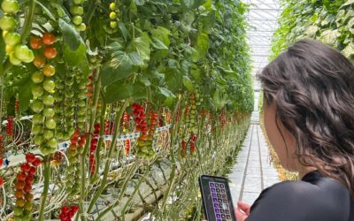From Hand-written to High Tech: Budgeting in the Greenhouse